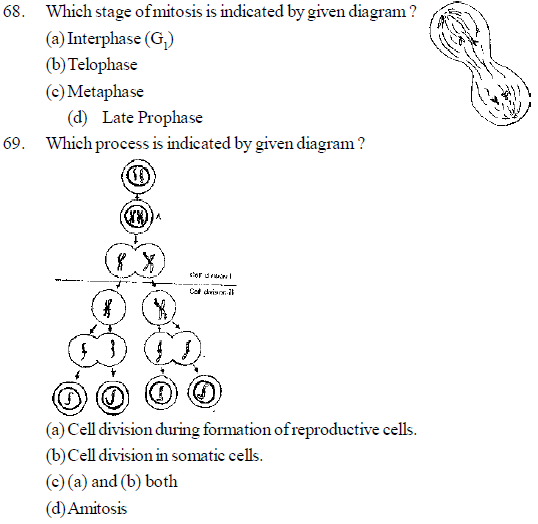 NEET UG Biology Cell Cycle And Cell Divisions MCQs, Multiple Choice ...